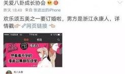 吃瓜系统娱乐圈小说