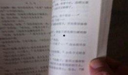 娱乐圈吃瓜年鉴小说,揭秘年度吃瓜大事件