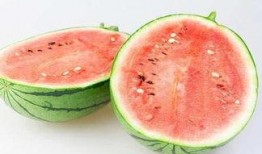 R718sx娱乐吃瓜,揭秘吃瓜群众的狂欢盛宴