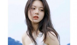 明星娱乐圈吃瓜陈飞宇