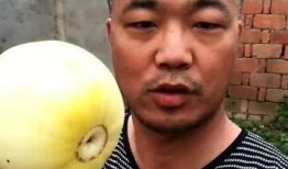 甜甜娱乐吃瓜,揭秘吃瓜群众背后的故事