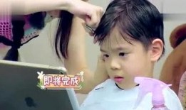 小文文吃瓜说娱乐,揭秘娱乐圈幕后故事