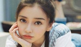 刺猬明星娱乐圈吃瓜