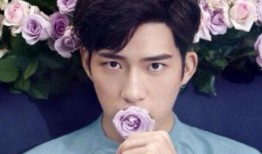 娱乐圈吃瓜明星代号田字格,揭秘明星背后的神秘面纱