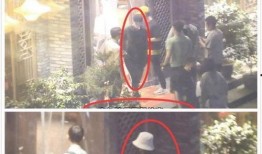 肖战杨紫娱乐吃瓜