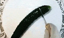 吃瓜表情包 gif,趣味横生的网络文化现象