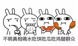 吃瓜群众 啥意思,网络时代的围观者与传播者