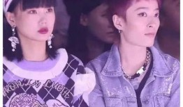 娱乐圈吃瓜小料视频,小料视频背后的真实故事