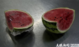 娱乐吃菌瓜,探寻娱乐与美食的完美融合