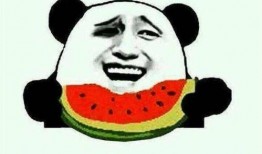 娱乐吃圈瓜,揭秘明星幕后故事