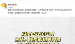 吃瓜娱乐全部,吃瓜群众视角下的明星八卦全解析
