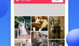 吃瓜娱乐图片p图软件,P图软件打造趣味图片盛宴