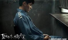 娱乐圈吃瓜群众官宣了吗