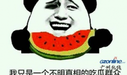 吃瓜表情的含义是什么意思啊,网络社交中的幽默与讽刺